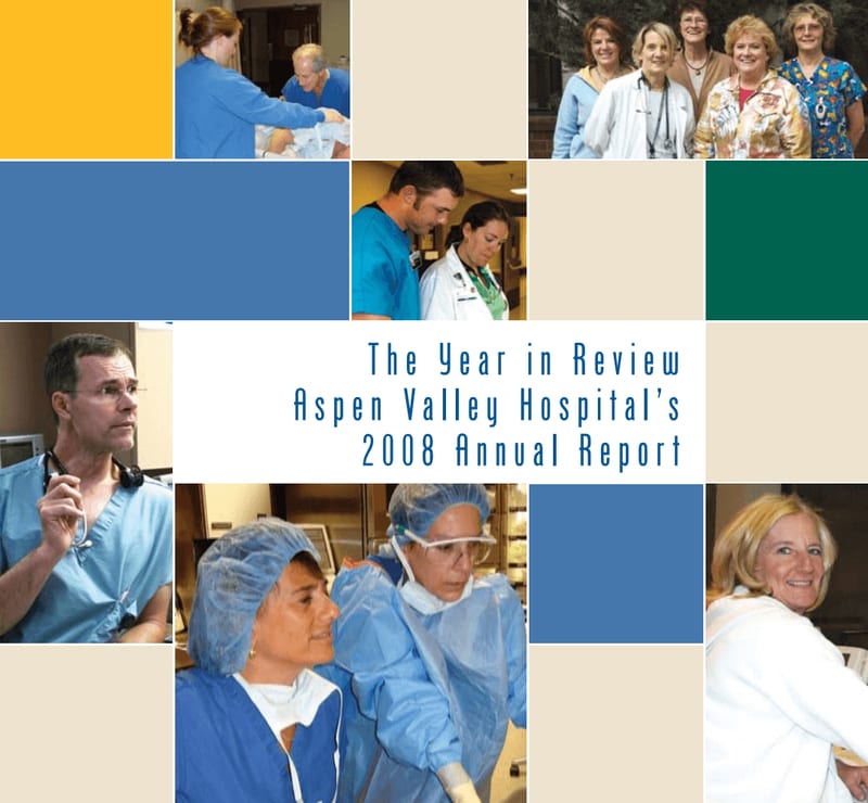 2008 Annual Report cover
