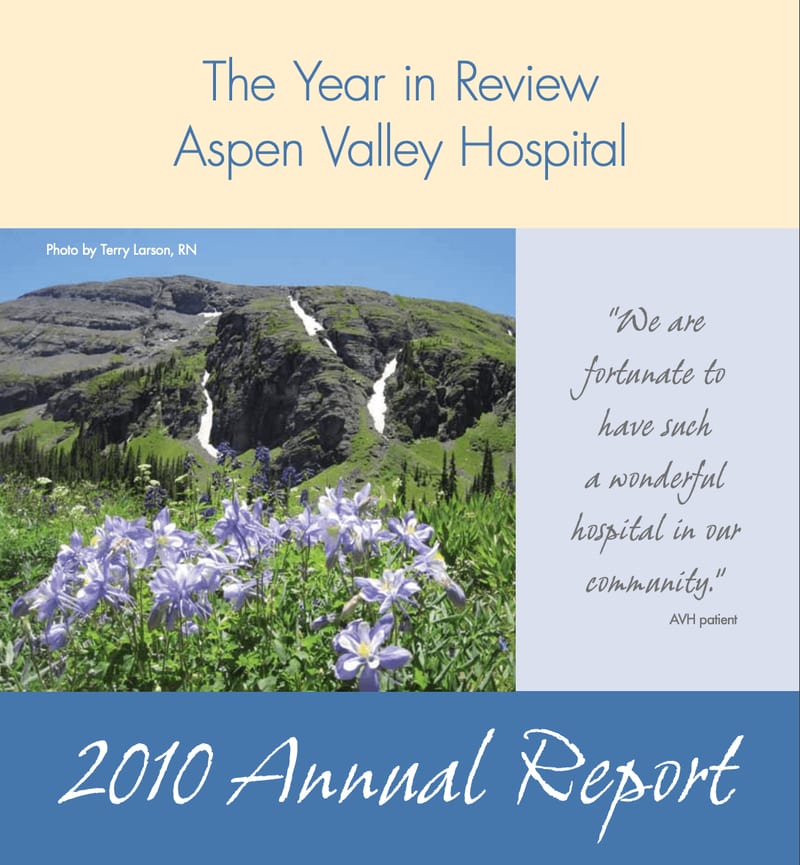 2010 Annual Report cover