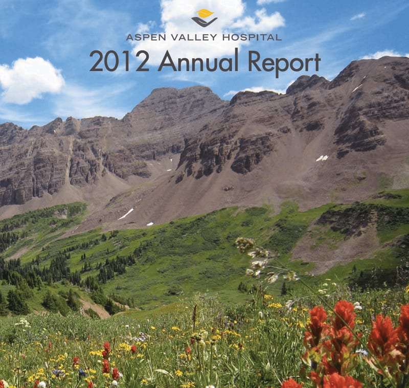 2012 Annual Report cover