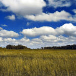 cumulus clouds