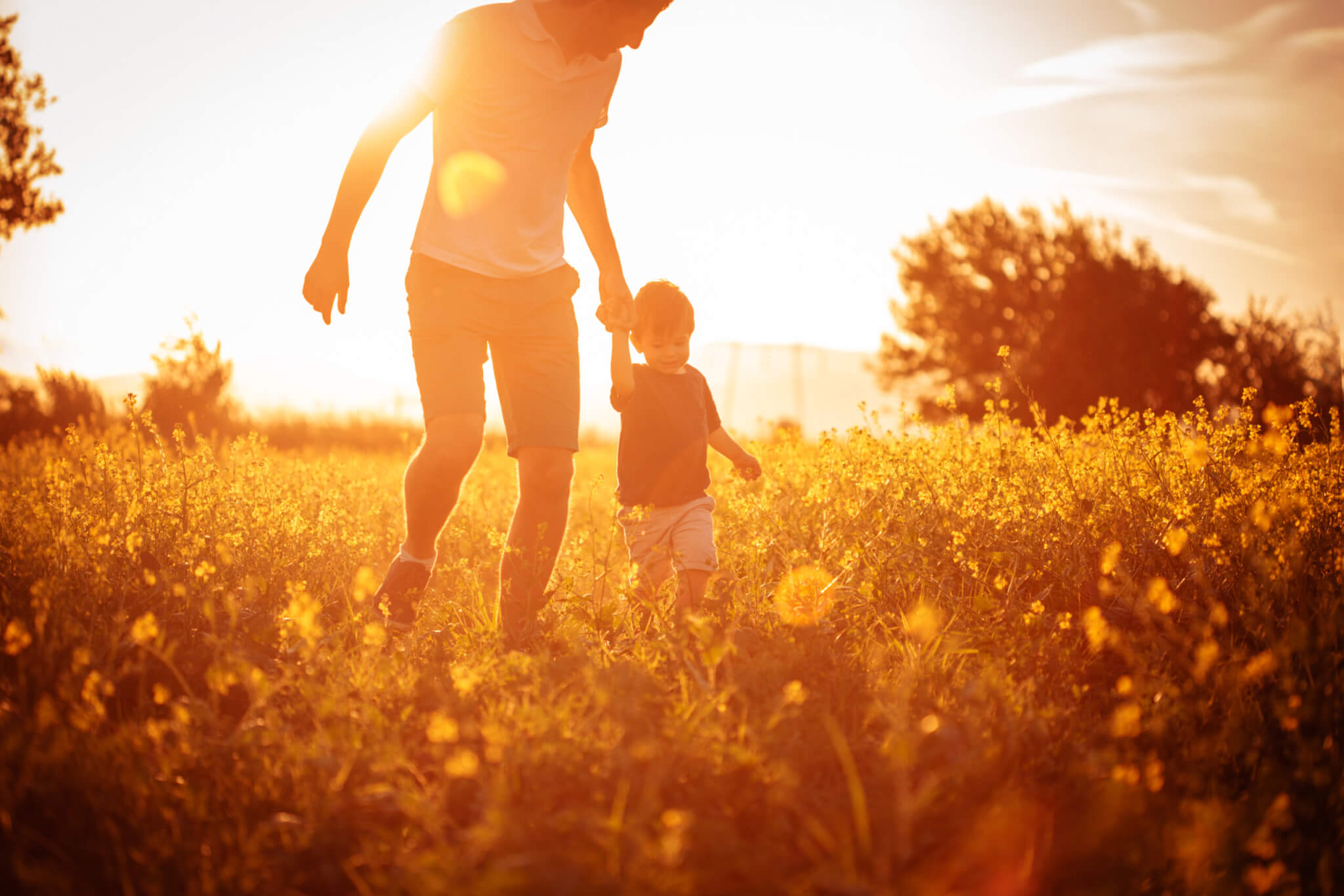 AVH After-Hours Care Providers