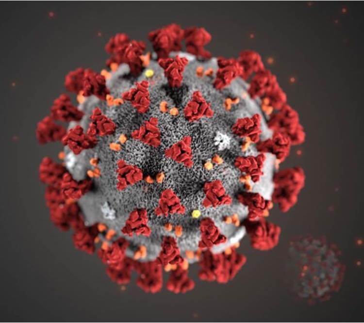 COVID-19 virus cell