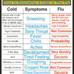 The difference between the flu and a cold