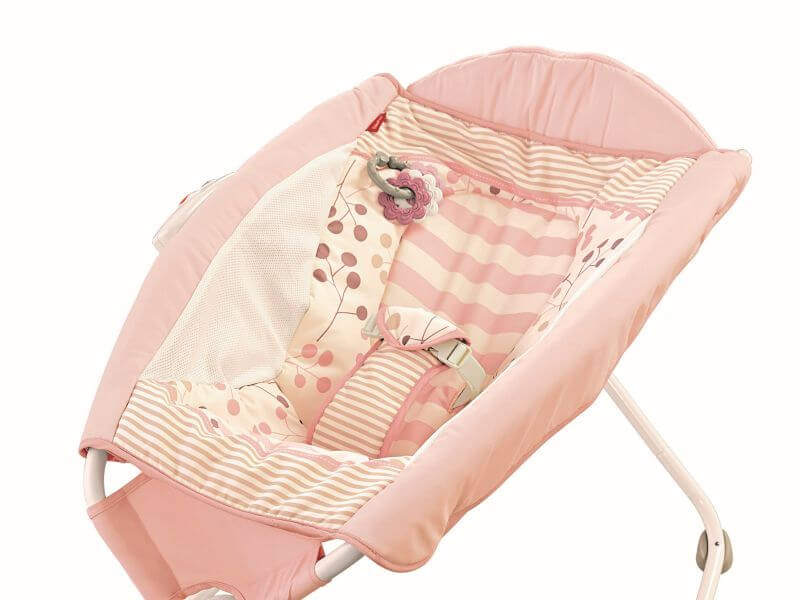 Product Recall: Fisher Price “Rock and Play”