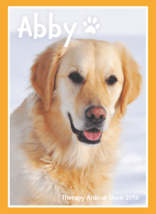 pet portrait of dog - abby