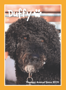 pet portrait of dog - duffy