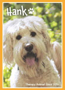 pet portrait of dog - hank