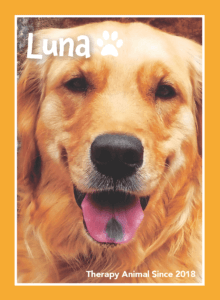 pet portrait of dog - luna