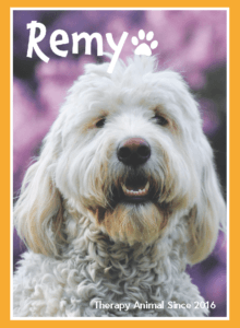 pet portrait of dog - remy