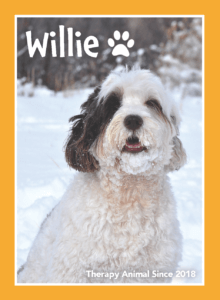 pet portrait of dog - willie