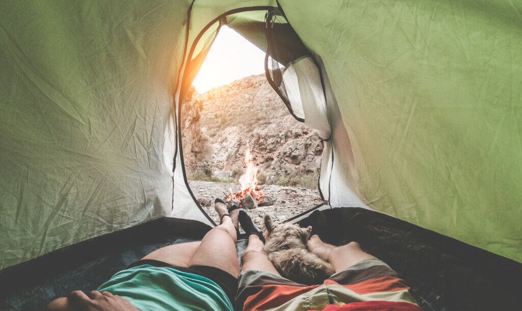 View of hikers couple inside tent camping in rock mountains with their dog - backcountry safety summer edition featured image