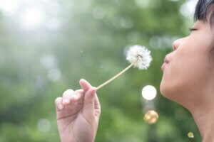 Asia child girl blowing dandelion with blur nature green tree background environment positive impact on health