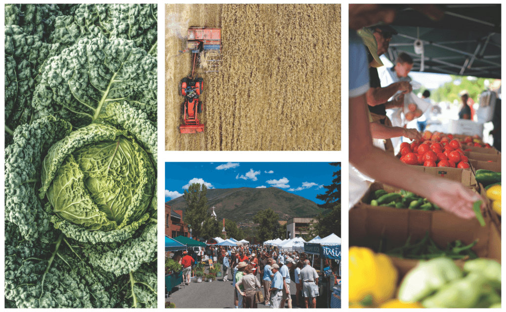 fresh produce collage guide to eating local