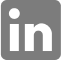 LinkedIn social icon