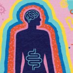 graphic of a silhouette of a person representing the gut microbiome and the brain cut health connection