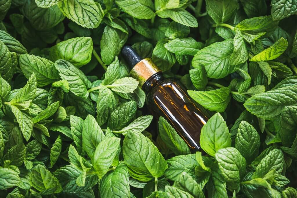 peppermint essential oil bottle for congestion sitting in a bed of peppermint leaves