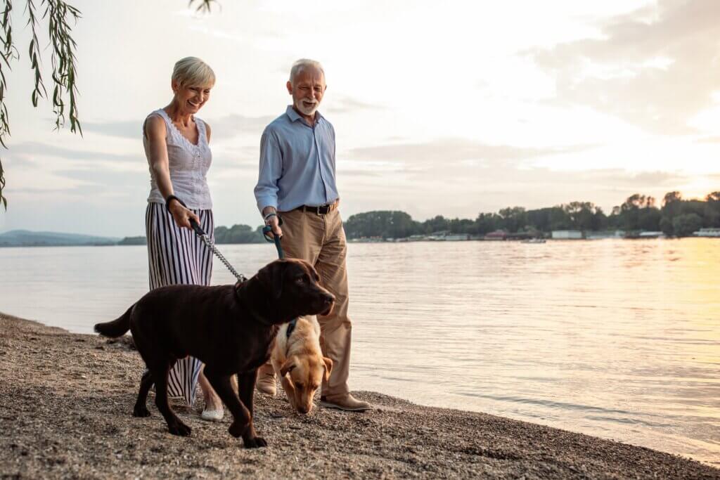 man and woman walking their two dogs outside showing the importance of getting outside when you have amnesia vs dementia